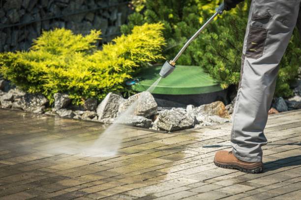 Best Animal Enclosure Cleaning  in Parowan, UT